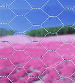 Hexagonal wire mesh