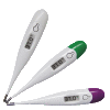 Rapid Digital Thermometer