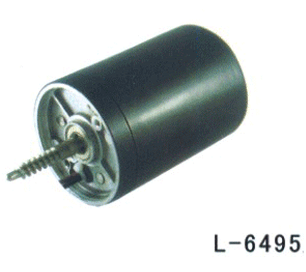 Electric Motor L-6495