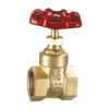 cast iron gate valve