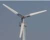 Wind Energy Generator