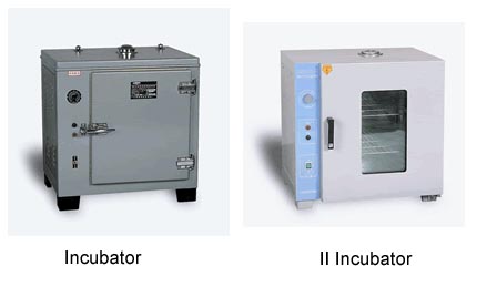 Water-resisting Electrically Heated Thermostatic Incubators