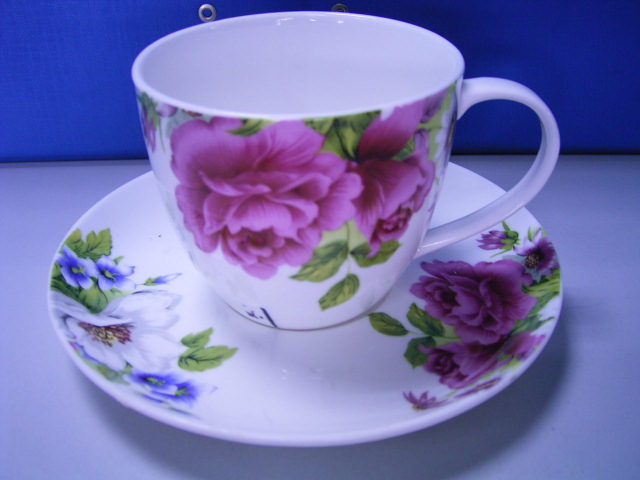 Porcelain cup and saucer