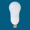 Energy Saving Lamp