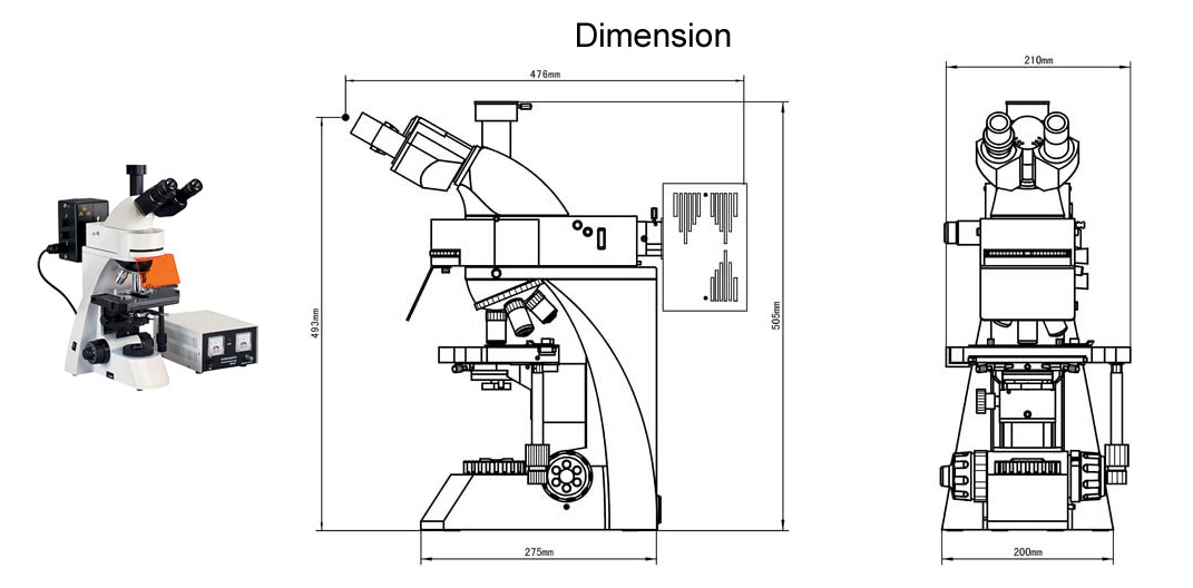 Flourescence Microscope