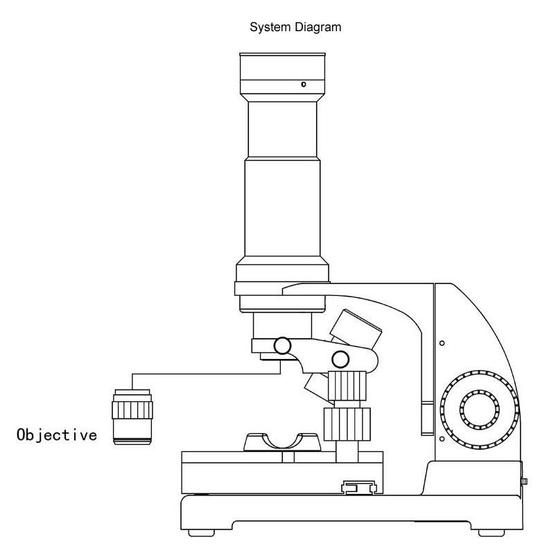 Video Microscope—Nail Fold Microcirculation Checking Instrument