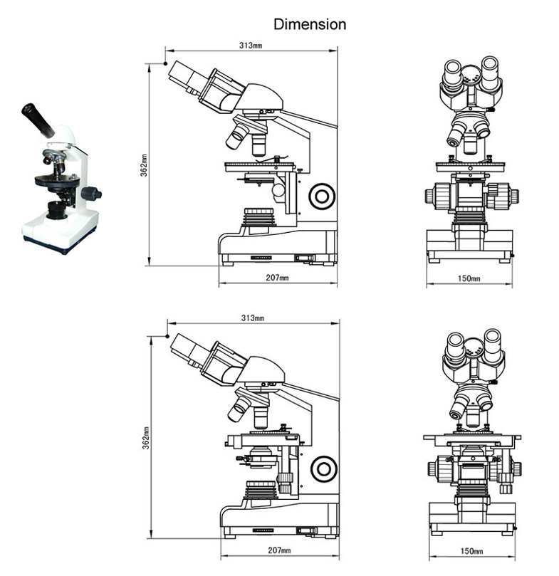 Polarization Microscope