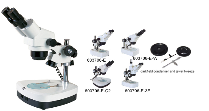 Stereo Microscope