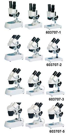 Stereo Microscope