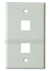 Wall Plate And Outlet