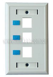 Wall Plate And Outlet