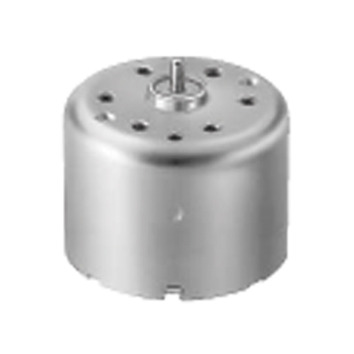 Micro DC motor