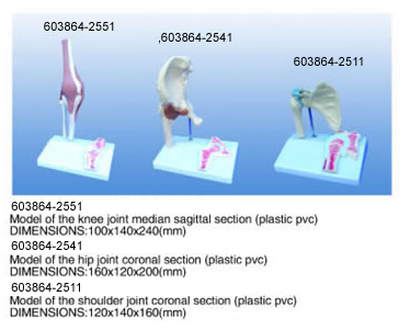 Models of The  Joint Section (Plastic pvc)