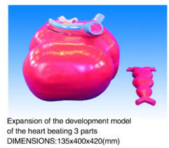 Expansion of the development model of the heart beating 3 parts