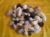 Sell Pebble and Cobble Stone