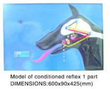 Model of Conditioned Reflex 1 Part