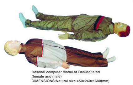 Resonal Computer Model Of Resuscitated (Female And Male)