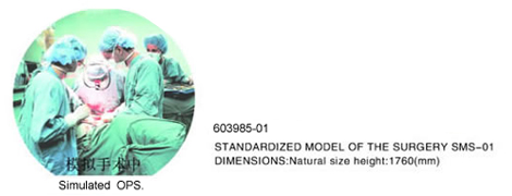 STANDARDIZED MODEL OF THE SURGERY