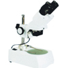 Stereo　Microscope