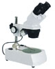 Stereo　Microscope
