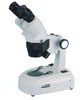 Stereo　Microscope