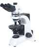Polarized　Microscope