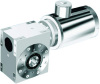 Stainless Steel Worm-gear Reducer