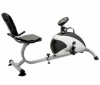 RECUMBENT BIKE