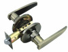 Tubular Lever lock 3501 AB