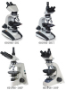 Transmission Polarizing Microscope