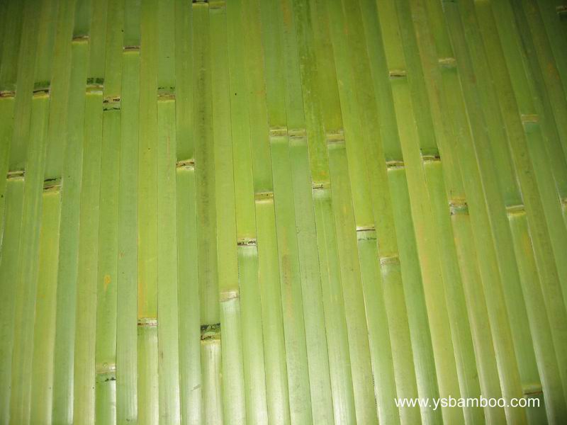 green natural bamboo wallpaper