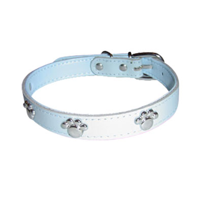 cool cat collar