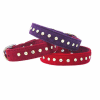 dog collar, nylon collar, pet collar