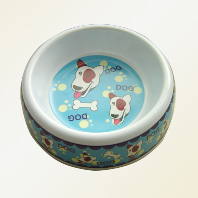 dog bowl