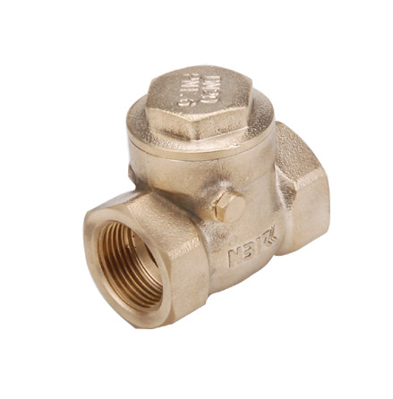 Check Valve