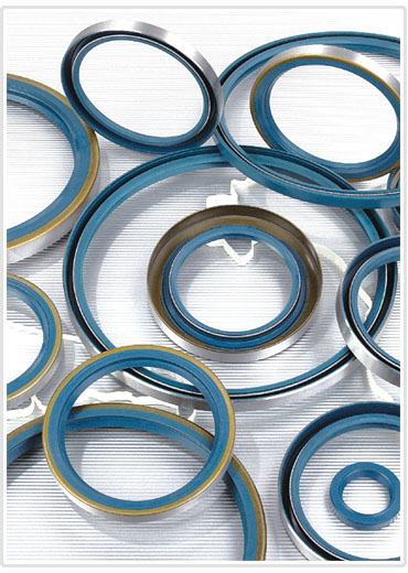 Oil seal