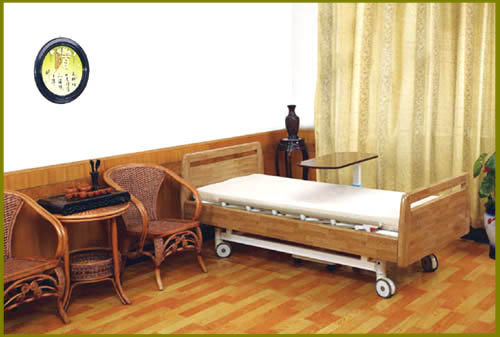 Two-function electric bed for family