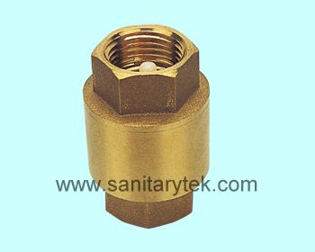 Check valve of  V24-001