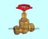 Forged gate valve, V23-002