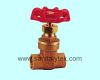 GATE VALVE FOR WELDING, V23-005