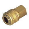 Female Thread Socket