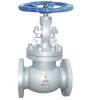 API Globe Valve