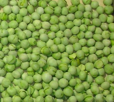Freeze-dried green pea