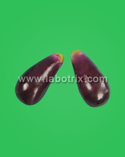 model of eggplant