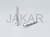 self tapping Screw