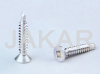 Square Drive Drilling Screw