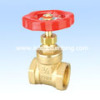 Gate Valve