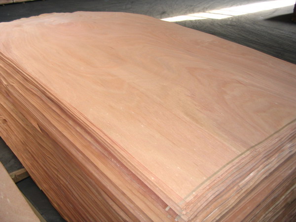 rotary cut veneers