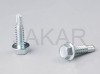 Self Drilling Screw