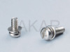 Machinery Screw